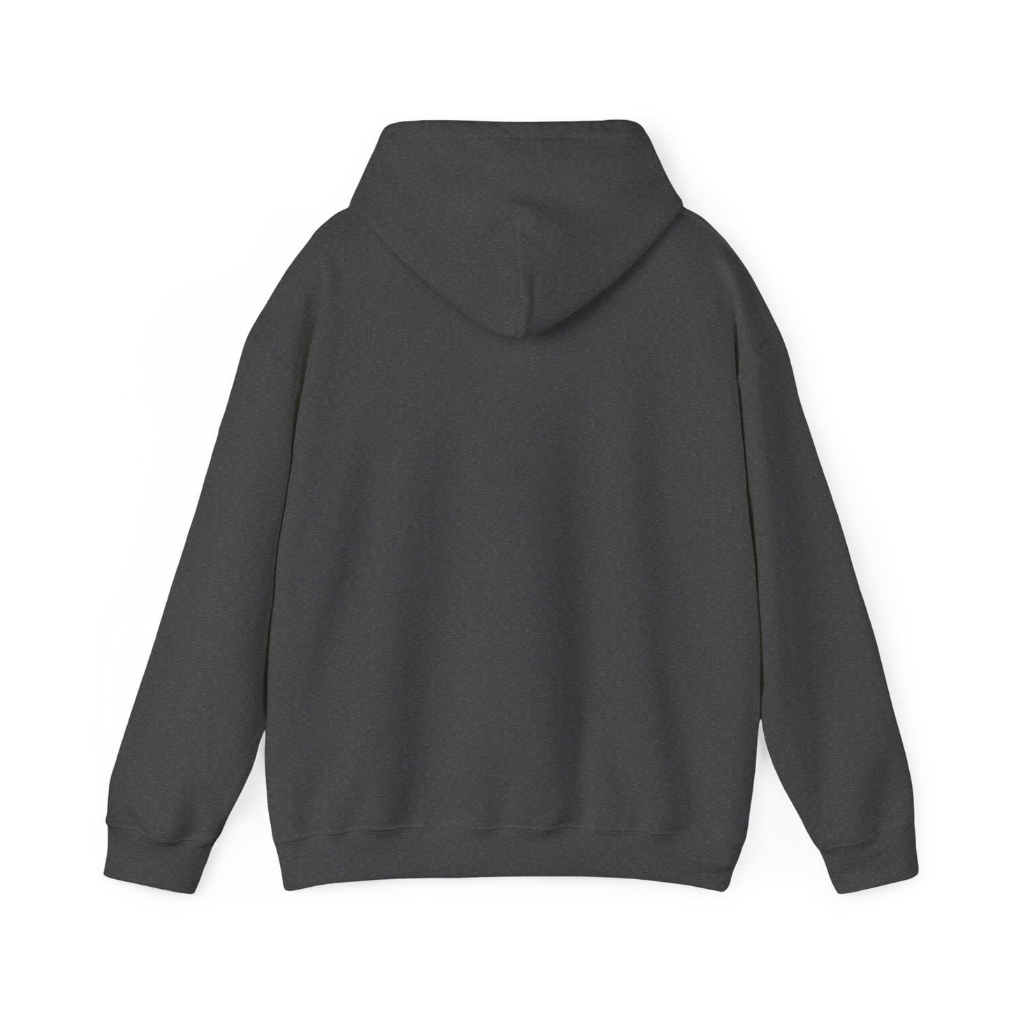 Gray Avoda Hoodie - Foundations