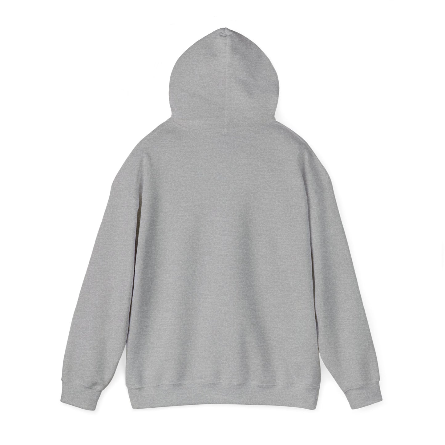 Avoda Basics - Hoodie