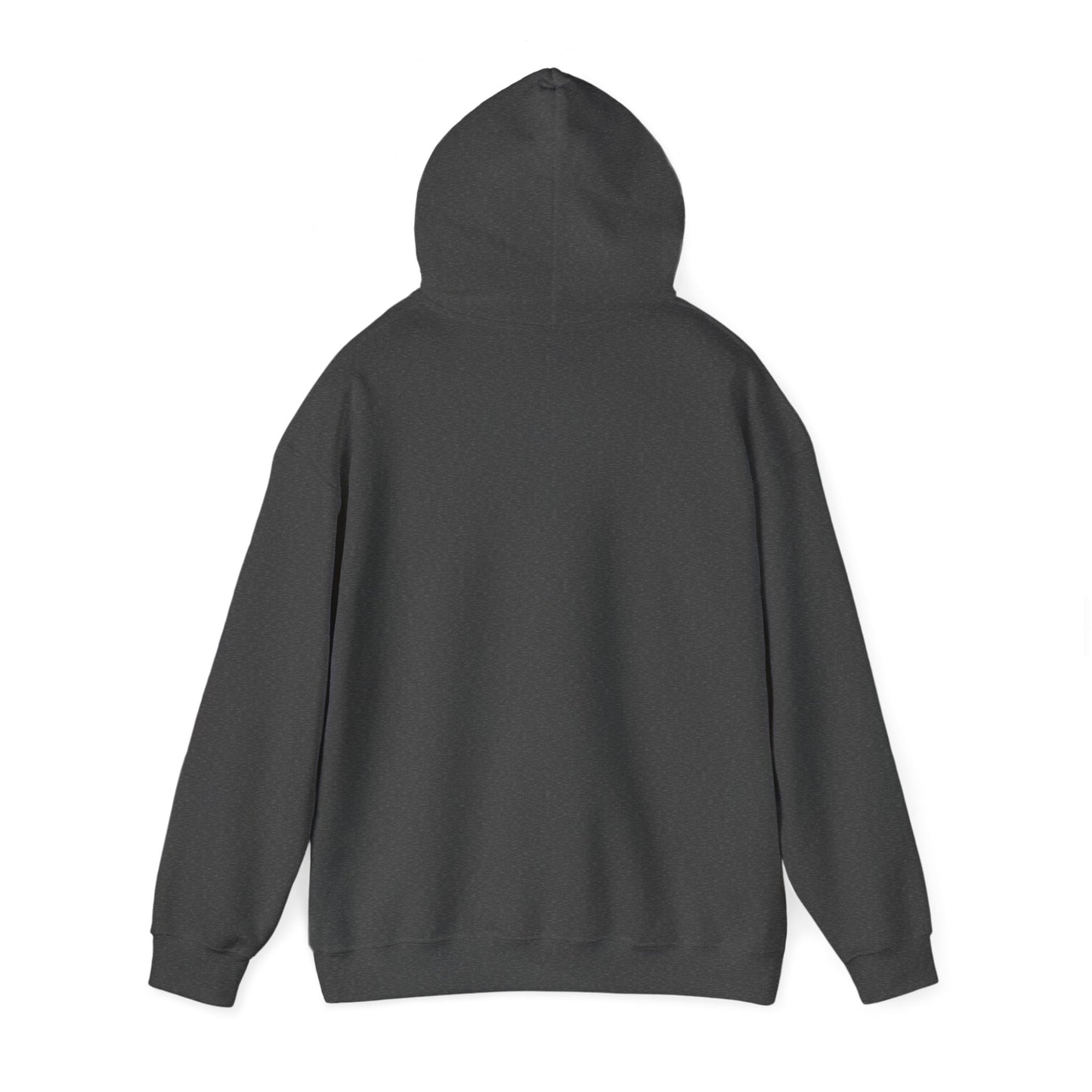 Gray Avoda Hoodie - Foundations